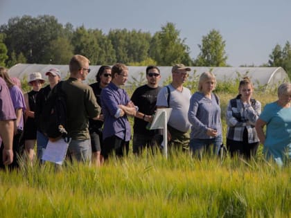 Опытные агрономы принимают опыты на опытном поле