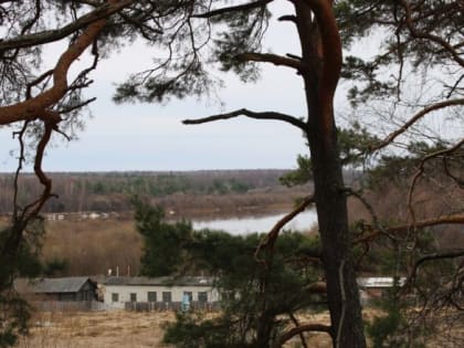 Ежедневный прогноз погоды