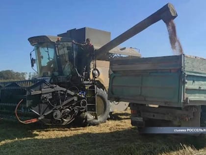 Декларацию на зерно признали недействительной