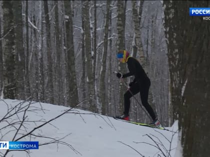 Половина костромичей призналась, что чувствует себя хорошо