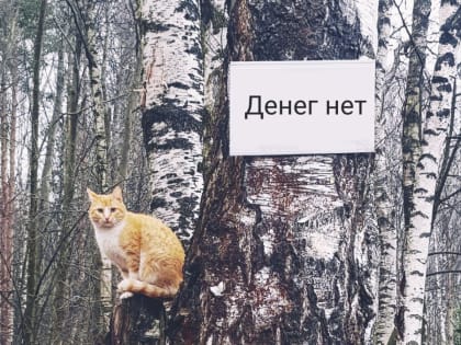 Денег нет: жителей поселка Первый оставили замерзать в квартирах