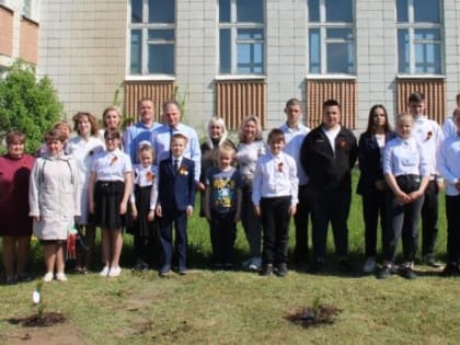 Молодые кедры высадили во дворе Барановской школы