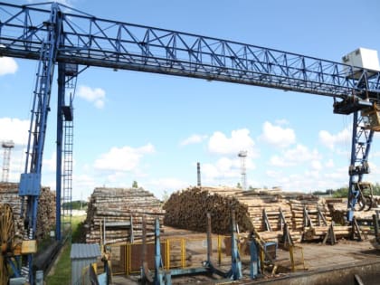 Азия и Африка: костромская лесная промышленность начала восстанавливаться после санкций