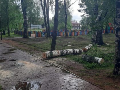 Сильный ветер стал причиной аварийных отключений электроэнергии в Октябрьском районе
