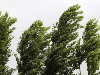 В регионе прогнозируется усиление ветра до 17 м/с