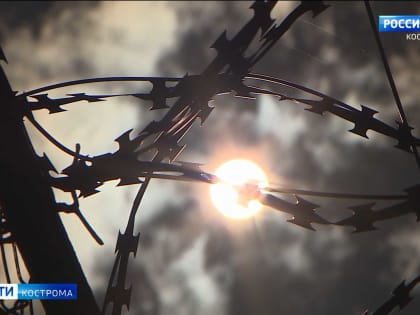 Московского наркодилера приговорили в Костроме к 9 годам и 9 месяцам лишения свободы