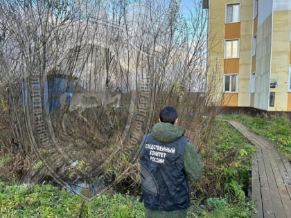 Хладнокровно: в Мантурове женщина зарезала знакомого и побежала прятать нож