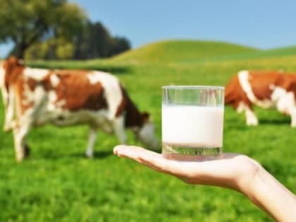 Для профилактики опасного зоонозного заболевания