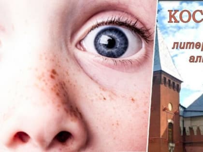 «Садисты»: стихи о котике и патриотизме из  хрестоматии костромской литературы просто поразили