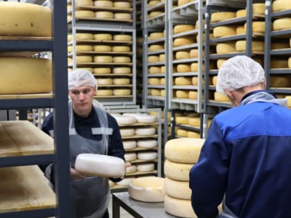 В Костромской области восстановят еще одно производство сыров