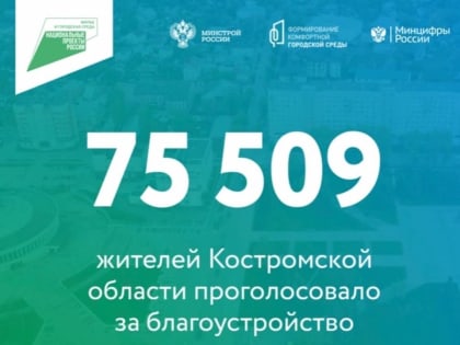 Более 75 тысяч голосов отдали жители Костромской области за дизайн-проекты благоустройства территорий