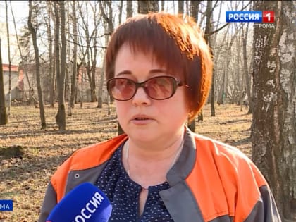 Горожане в Костроме дружно взялись за грабли