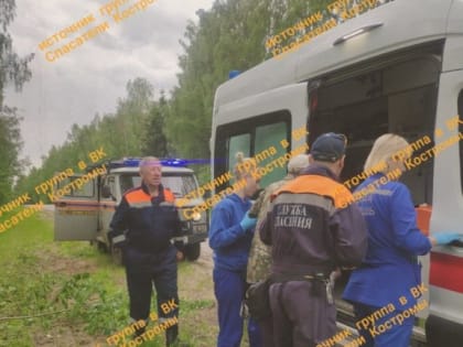 Поход на огород едва не обернулся трагедией для костромича