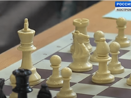 Семьи в Костроме сыграют в быстрые шахматы