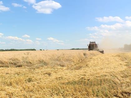 Хозяйства Костромской области приступили к уборке зерновых