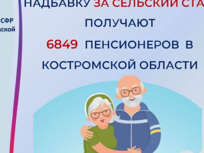 В Костромской области более 6 тысяч пенсионеров получают надбавку за сельский стаж