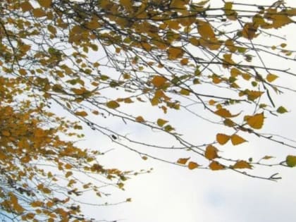 В Костромской области сохраняются неблагоприятные погодные условия