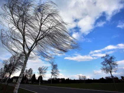 В регионе 8 мая ожидается усиление ветра до 18 метров в секунду