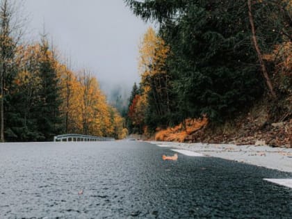 12 октября на территории региона ожидается сильный ветер, дождь с мокрым снегом, на дорогах — гололедица