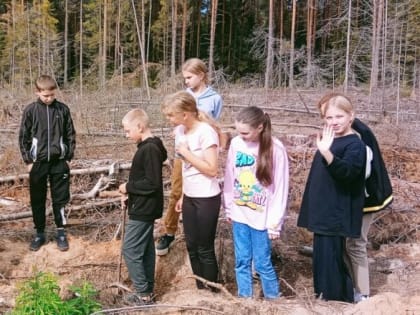 Выпускникам школьных лесничеств — целевые направления