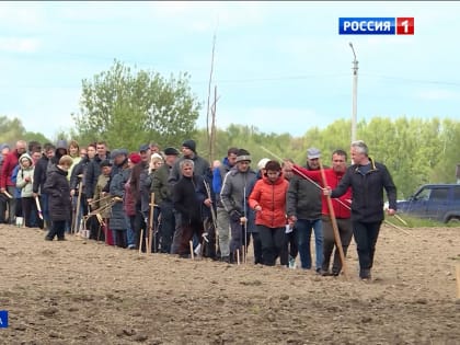 Более 150 семей Костромы заявились на получение бесплатной земли под огороды