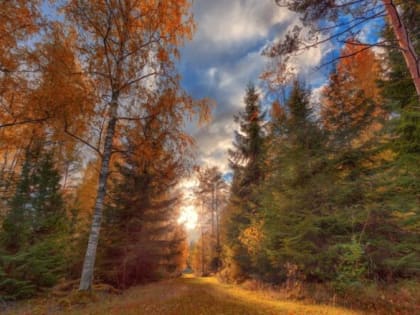 Пожароопасный сезон в Костромской области отменён