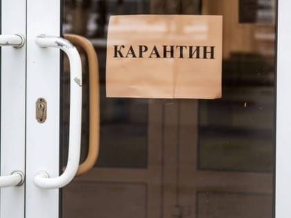 7 костромских школ и 6 детсадов полностью закрыты на карантин по ОРВИ и гриппу
