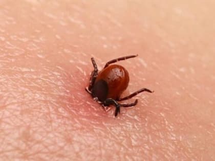 Я о болезни даже не подумала