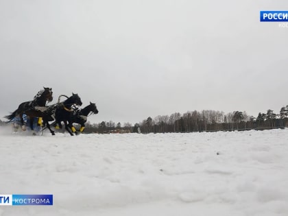 Кострома может стать центром возрождения русской тройки