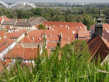 «Ночь географии» с Костромским отделением РГО шагнет за пределы России