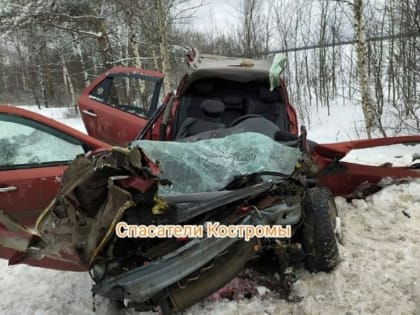 В Костроме будут судить водителя «Мерседеса», по вине которого погиб подросток