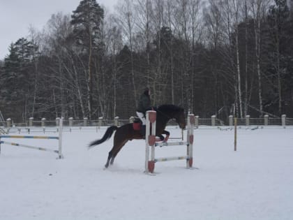 Региональные соревнования по конному спорту