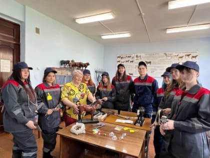 Чтобы трудиться в стройотрядах, студенты региона получили дополнительные специальности