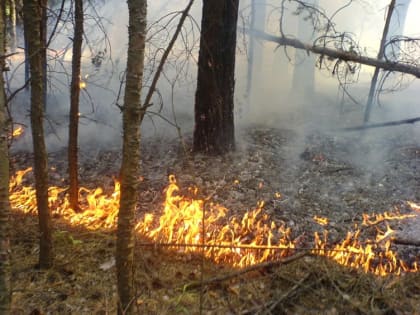 На территории Костромской области установлен 4 класс пожарной опасности