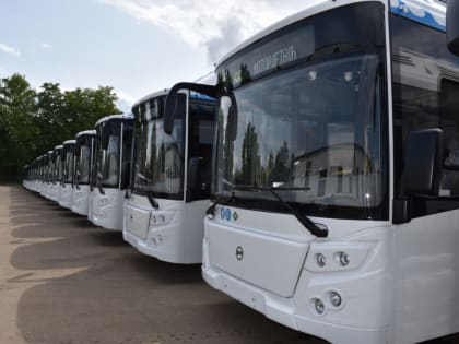 В Костроме могут появиться экспресс-автобусы