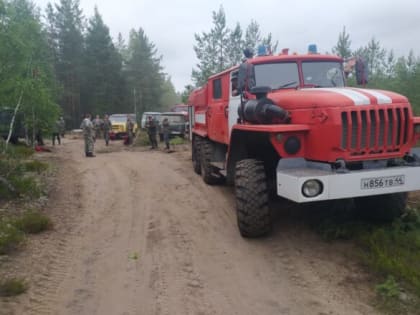 В Макарьевском лесничестве удалось добиться положительных результатов благодаря качественной профилактической работе