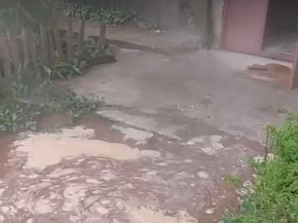 В Костроме затопило кипятком Сосновый проезд (ВИДЕО)