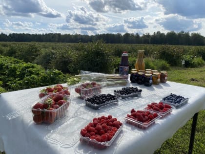 Костромская область благодаря сельхозкооперации обеспечивает высокие объемы переработки дикоросов