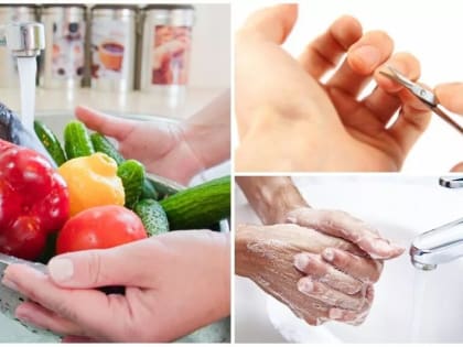 Жителям региона напоминают о мерах профилактики гельминтозов