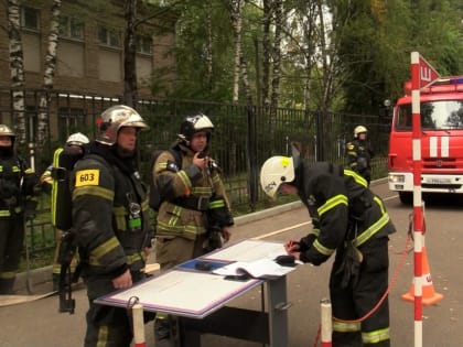 С поставленной задачей справились