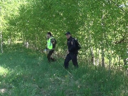 Как погулять в лесу и не заблудиться