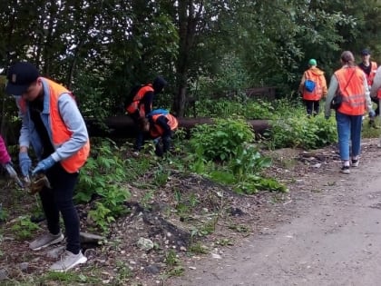 Уборкой Костромы занялись экологические трудовые отряды школьников