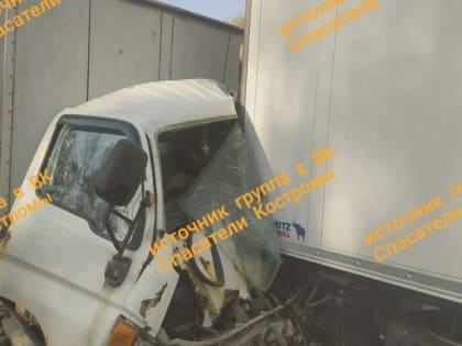 В страшной аварии под Костромой погиб молодой мужчина