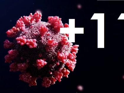 Коронавирус в Костромской области за сутки диагностирован у 11 человек