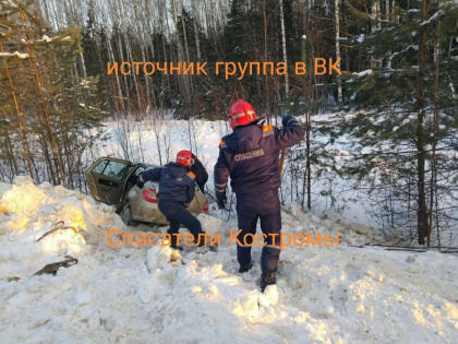 Мужчина и 7-летний ребенок чудом выжили в убийственном ДТП на костромской дороге