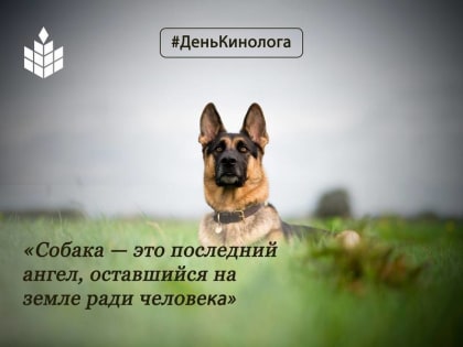 Сегодня в России отмечается День кинолога!