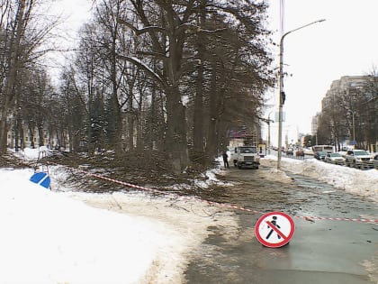 В Костроме началась подготовка к реконструкции сквера на площади Конституции