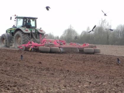 В Октябрьском районе идет посевная кампания
