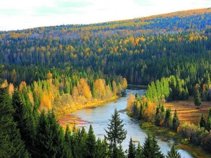 Постоянный контроль за ситуацией в лесах