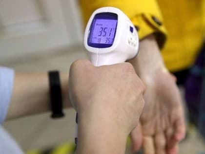 Разгул вирусов заставил ввести ограничения в костромских школах